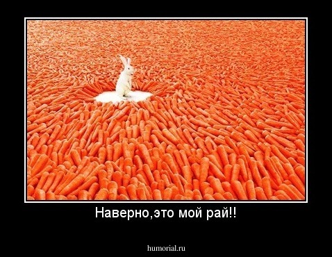 Наверно,это мой рай!!