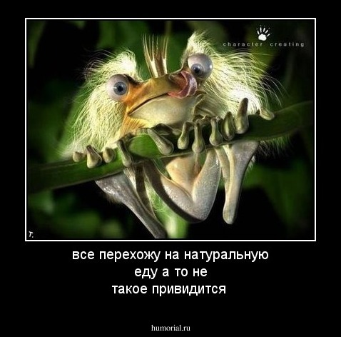 все перехожу на натуральную еду а то не такое привидится