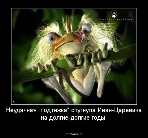 Неудачная "подтяжка" спугнула Иван-Царевича на долгие-долгие годы