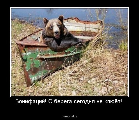 Бонифаций! С берега сегодня не клюёт! 