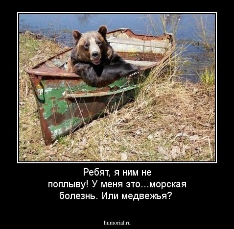 Ребят, я ним не поплыву! У меня это...морская болезнь. Или медвежья? 