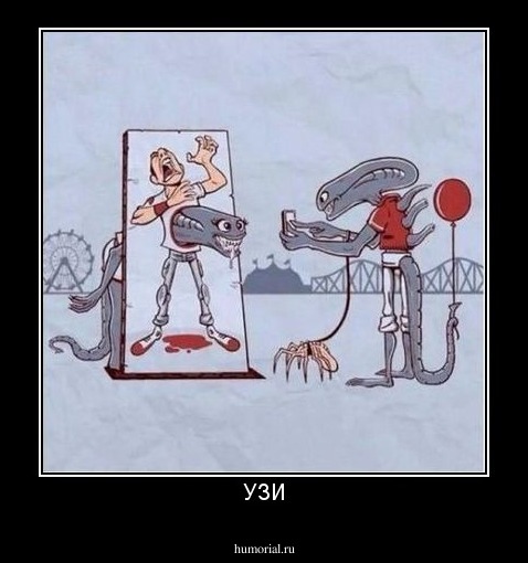 УЗИ