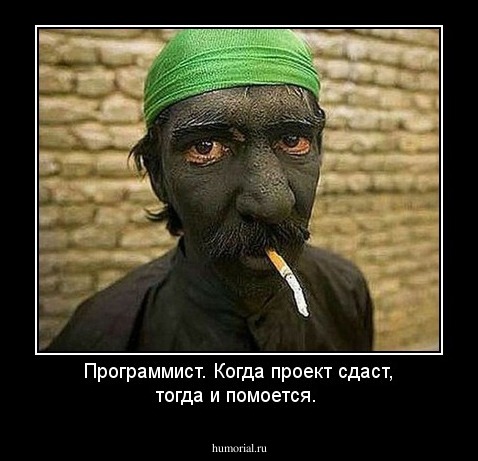 Программист. Когда проект сдаст, тогда и помоется.