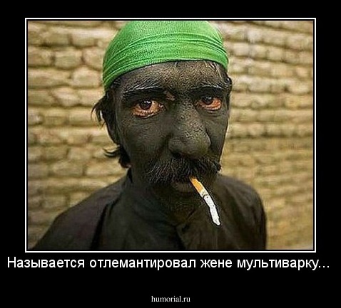 Называется отлемантировал жене мультиварку...