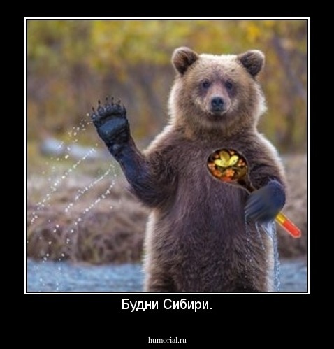 Будни Сибири.