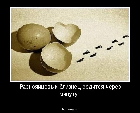 Разнояйцевый близнец родится через минуту.