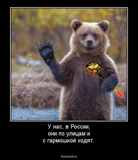 У нас, в России, они по улицам и с гармошкой ходят.