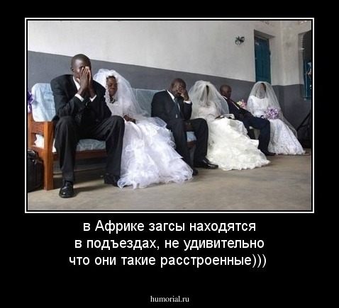 в Африке загсы находятся в подъездах, не удивительно что они такие расстроенные)))