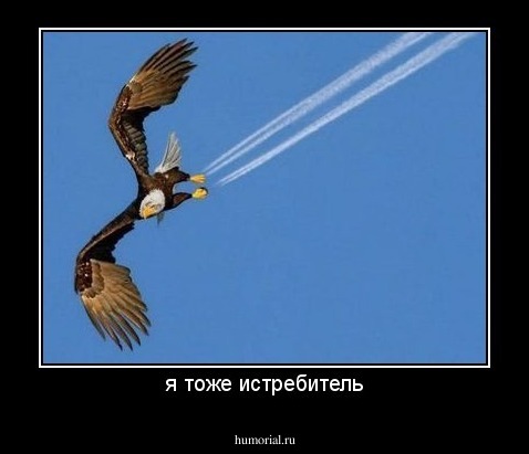 я тоже истребитель