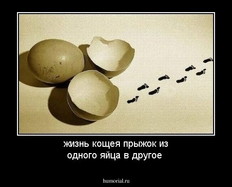 жизнь кощея прыжок из одного яйца в другое 