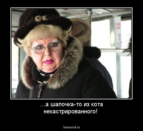 ...а шапочка-то из кота  некастрированного!
