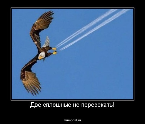 Две сплошные не пересекать!