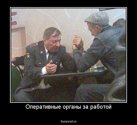 Оперативные органы за работой