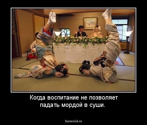 Когда воспитание не позволяет падать мордой в суши.