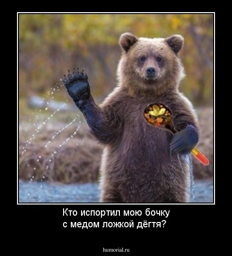 Кто испортил мою бочку с медом ложкой дёгтя?