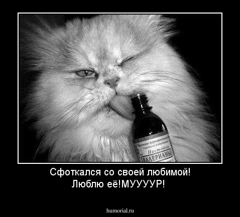 Сфоткался со своей любимой!
Люблю её!МУУУУР!