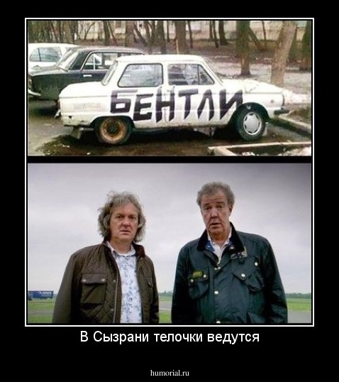 В Сызрани телочки ведутся