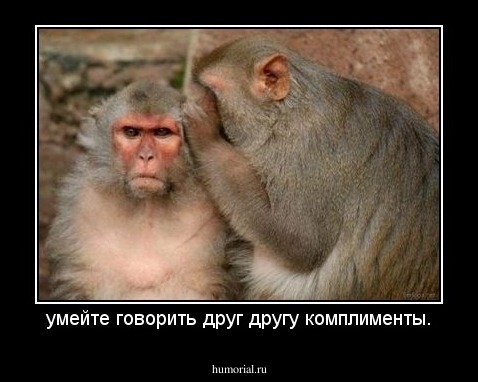 умейте говорить друг другу комплименты.