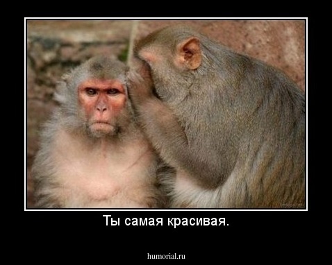 Ты самая красивая.