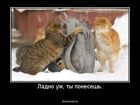 Ладно уж, ты понесешь.