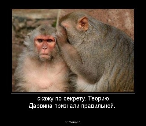 скажу по секрету. Теорию Дарвина признали правильной.