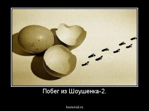 Побег из Шоушенка-2.