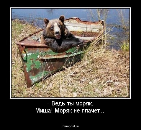 - Ведь ты моряк, Миша! Моряк не плачет...