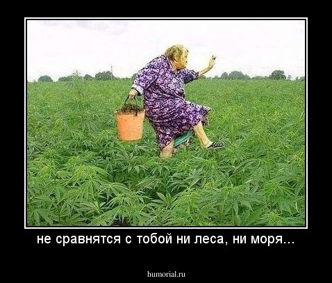 не сравнятся с тобой ни леса, ни моря...
