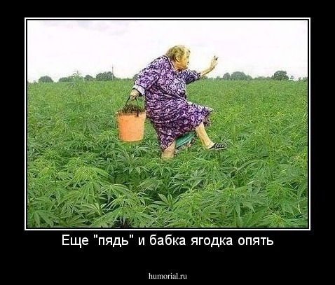 Еще "пядь" и бабка ягодка опять