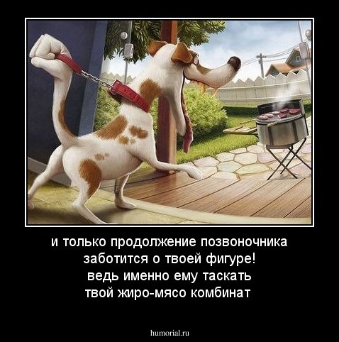 и только продолжение позвоночника заботится о твоей фигуре! ведь именно ему таскать твой жиро-мясо комбинат