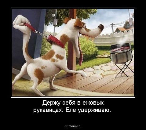 Держу себя в ежовых рукавицах. Еле удерживаю.