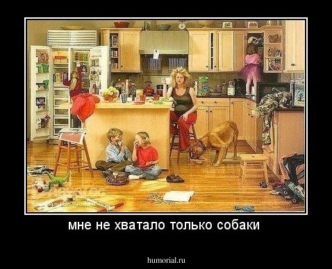 мне не хватало только собаки 