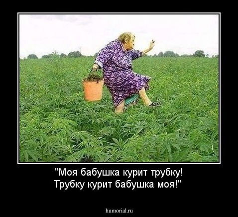 "Моя бабушка курит трубку! Трубку курит бабушка моя!"
