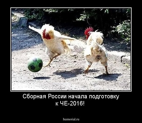 Сборная России начала подготовку к ЧЕ-2016!