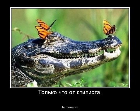 Только что от стилиста.