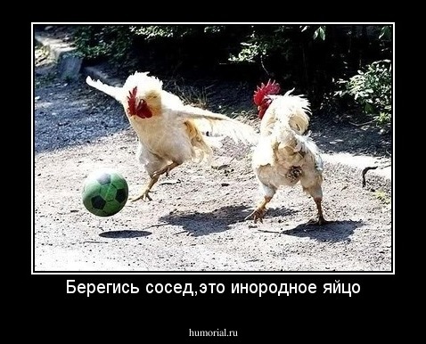 Берегись сосед,это инородное яйцо