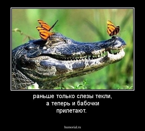 раньше только слезы текли, а теперь и бабочки прилетают.