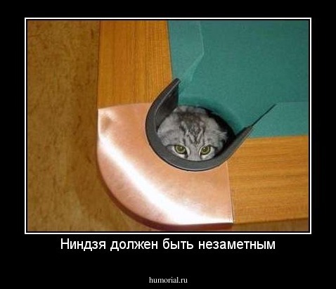 Ниндзя должен быть незаметным