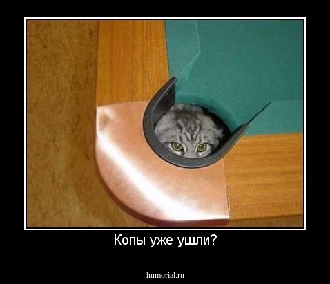 Копы уже ушли?
