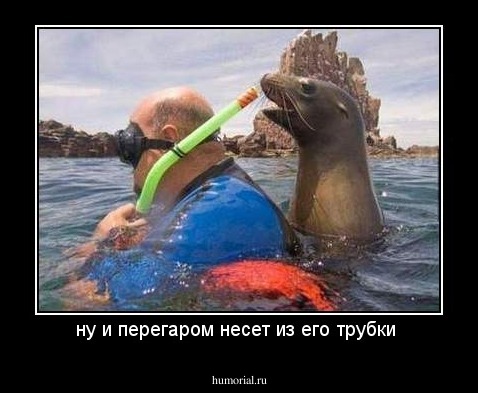 ну и перегаром несет из его трубки 