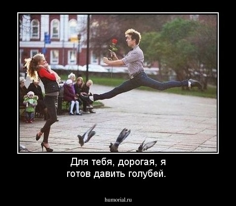 Для тебя, дорогая, я готов давить голубей.