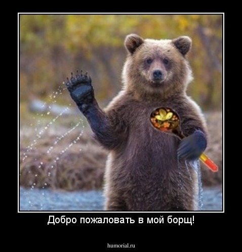 Добро пожаловать в мой борщ!