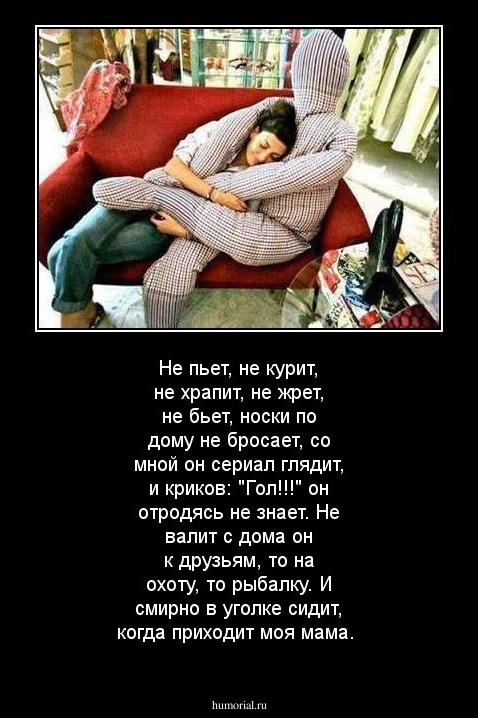 Не пьет, не курит, не храпит, не жрет, не бьет, носки по дому не бросает, со мной он сериал глядит, и криков: "Гол!!!" он отродясь не знает. Не валит с дома он к друзьям, то на охоту, то рыбалку.  И смирно в уголке сидит, когда приходит моя мама. 