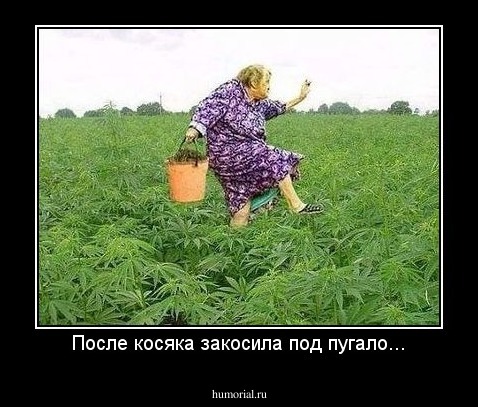 После косяка закосила под пугало...