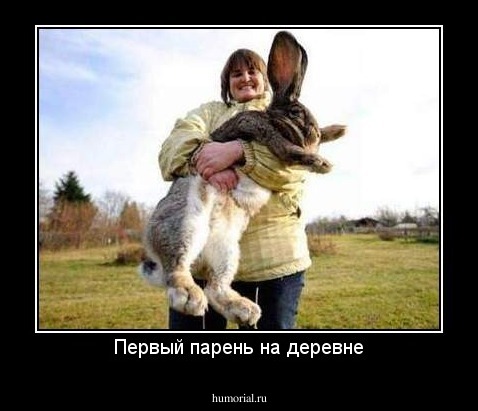 Первый парень на деревне