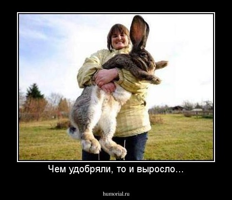 Чем удобряли, то и выросло...