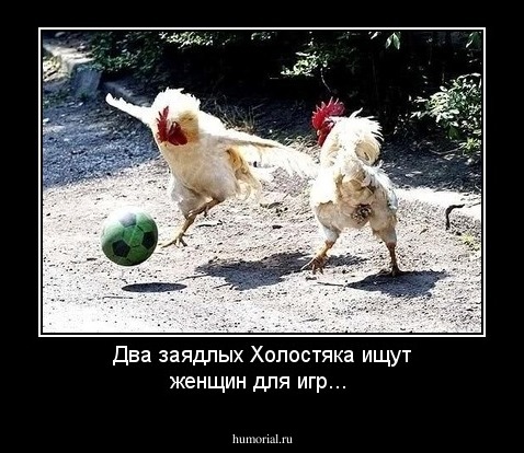 Два заядлых Холостяка ищут женщин для игр...