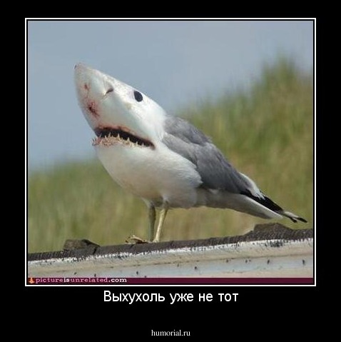 Выхухоль уже не тот