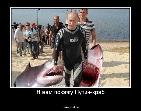 Я вам покажу Путин-краб