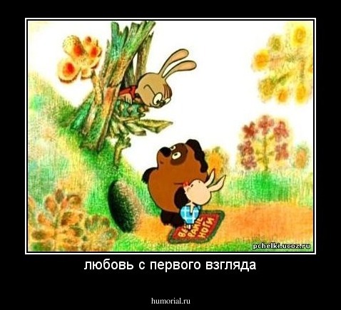 любовь с первого взгляда